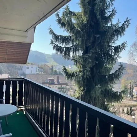 Apartment Urlaub Im Schwarzwald! Ghp440