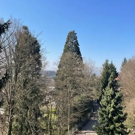 Urlaub Im Schwarzwald! Ghp440 Apartment Sasbachwalden